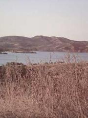 Lin Feng Lin Yun Yao