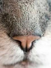 After Transmigrating