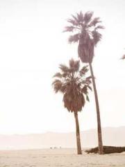 lt;lt;lt;Reborn Soar