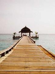 lt;lt;Legend of Yunx