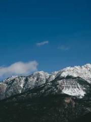 A Wifeapos;s Plea fo