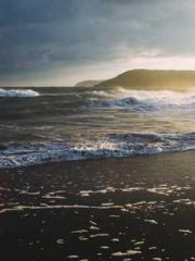 Becoming a Farm Girl