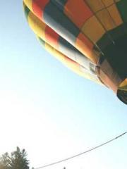 Mr. Shen, overdue an