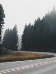 Rebirth of the Urban