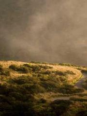 Li Qingqing and Zhao