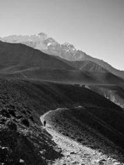 Rebirth of the Urban