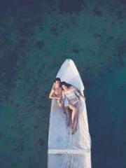 Super husband Lin Xi