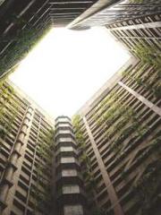 Shen Ning, Ran, Bo J