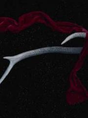 Bodhisattva of Compa