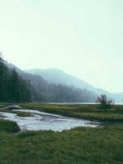 The Taoist nun was f