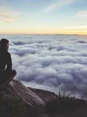 Mr. Gu, your wife is