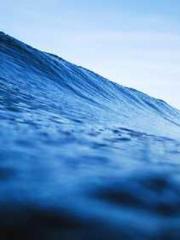 Lu Zongapos;s Hidden