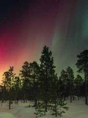 lt;lt;Marvel: Connec