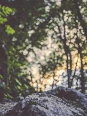 The Generalapos;s Hu