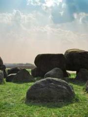 King of Nine Profoun