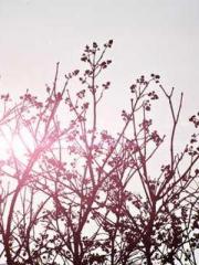 lt;lt;The Trash Husb