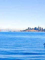 Crossing the Great Q