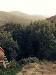 Rong Zhao, male, Nin